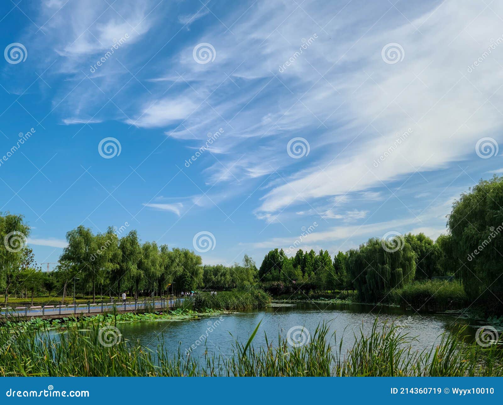 Ã¤Â¸Â­Ã¥âºÂ½Ã©ÆâÃ¥Â·Å¾Ã¥ÅâÃ©Â¾â¢Ã¦Â¹âÃ¦Â¹Â¿Ã¥ÅÂ°Ã¥â¦Â¬Ã¥âºÂ­ beilonghu wetland park, zhengzhou, china